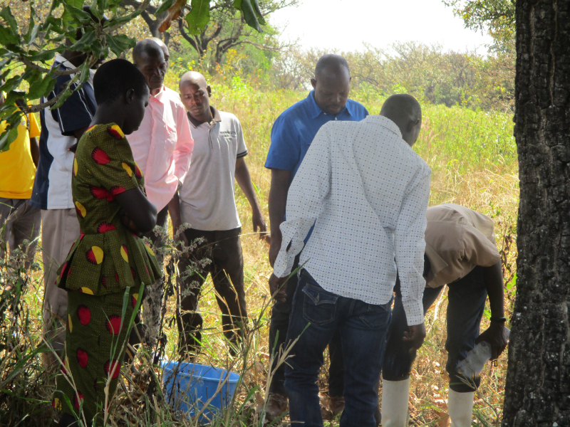 Discussing the harvest